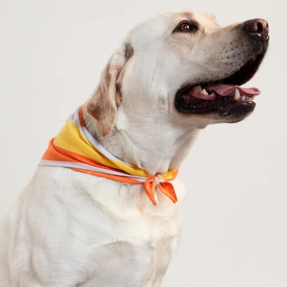 Halloween-Print Bandana for Pets - Picture 2 of 5